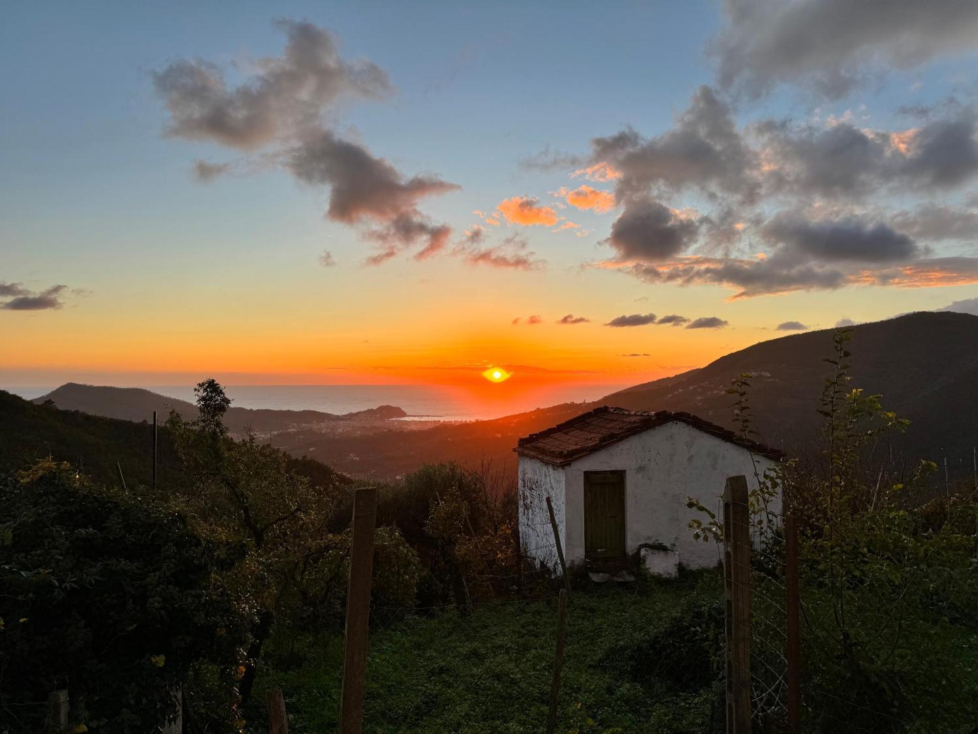 La Collina Sul Mare - Casa Vacanze Sestri Levante Eksteriør bilde