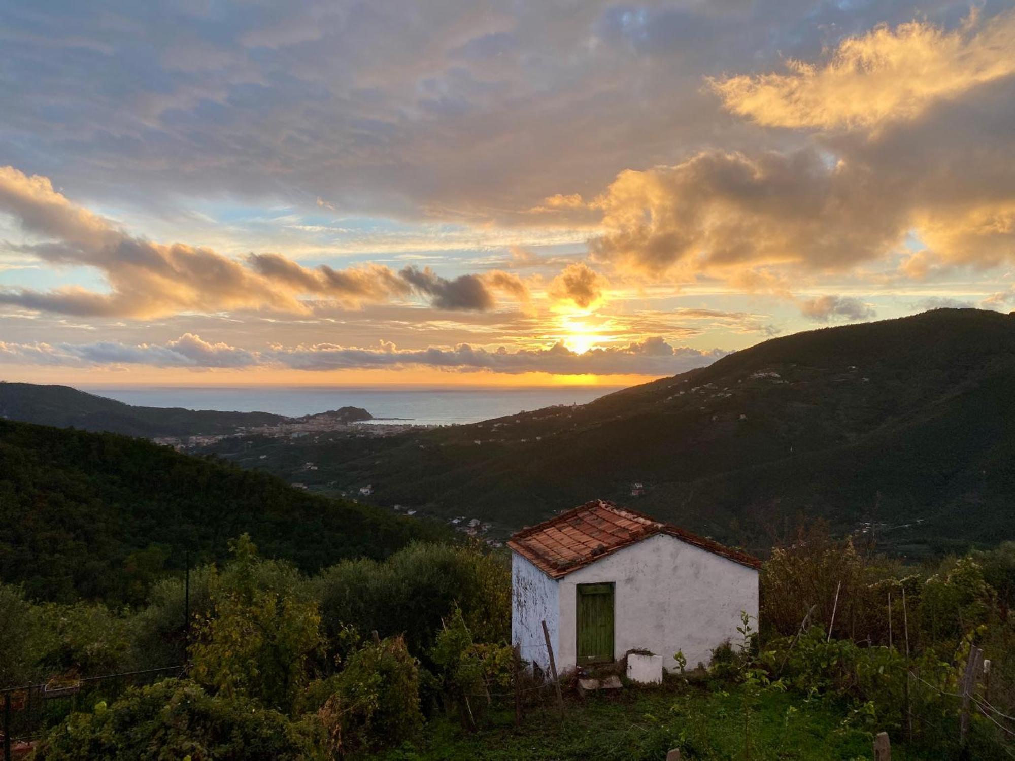 La Collina Sul Mare - Casa Vacanze Sestri Levante Eksteriør bilde